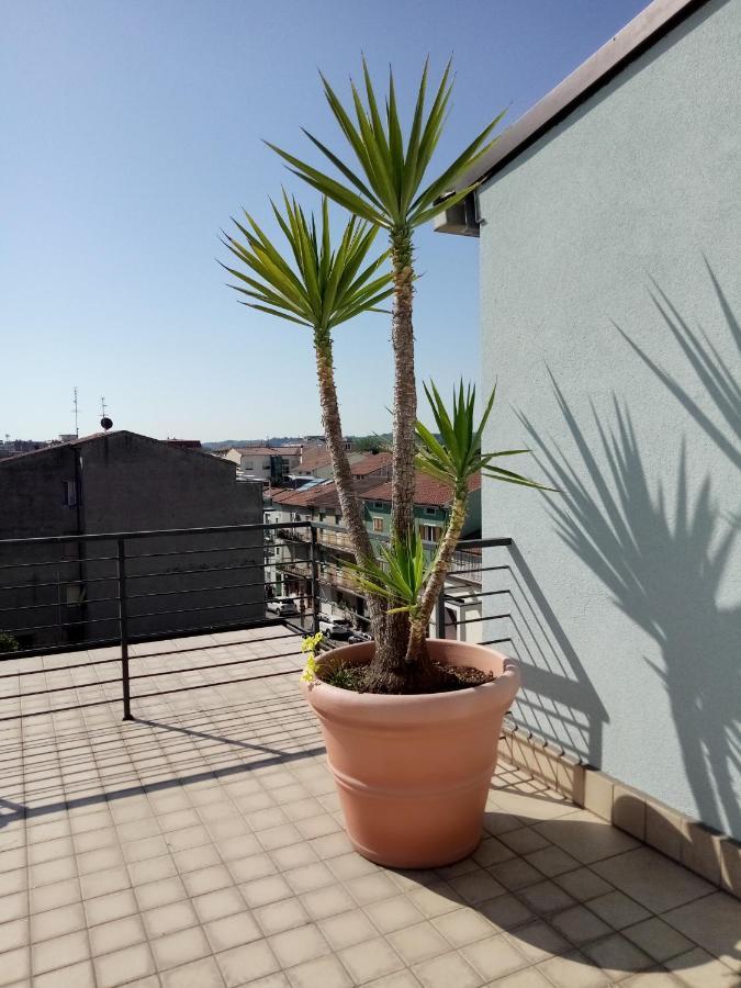 צ'יביטאנובה מארקה Hotel Chiaraluna מראה חיצוני תמונה
